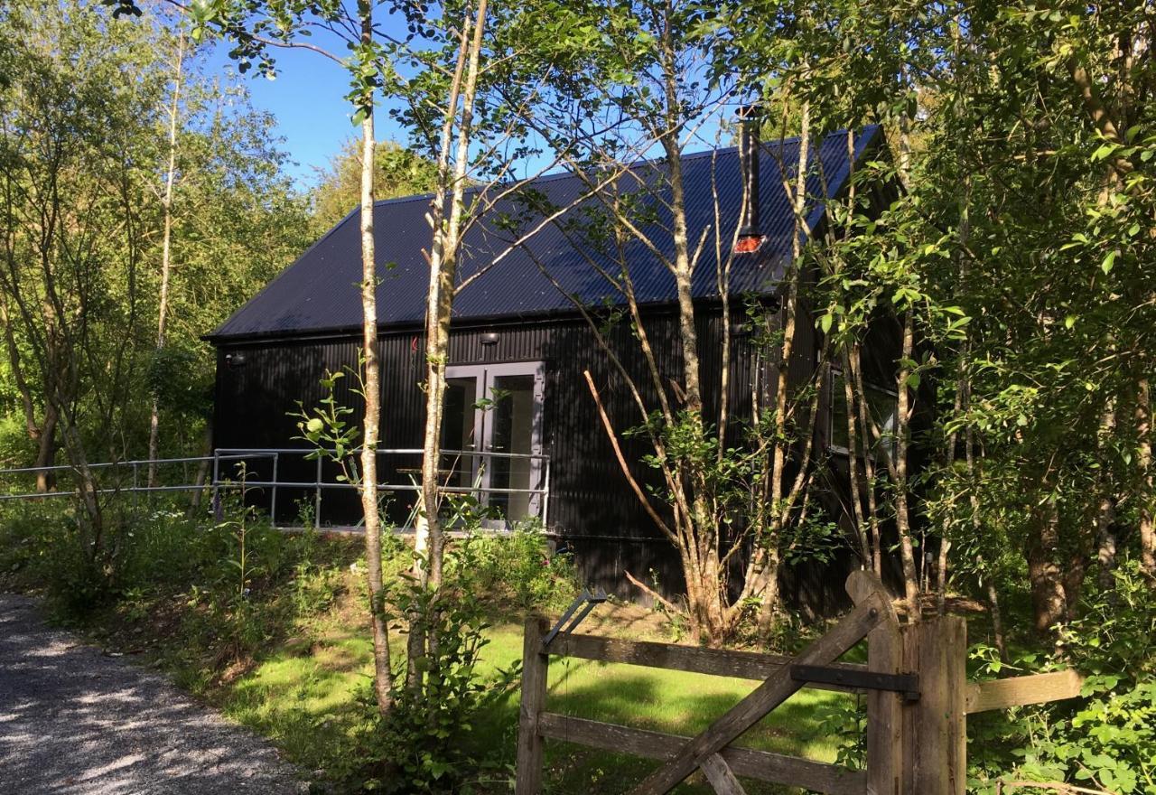 Alder Cabin Кілкенні Екстер'єр фото